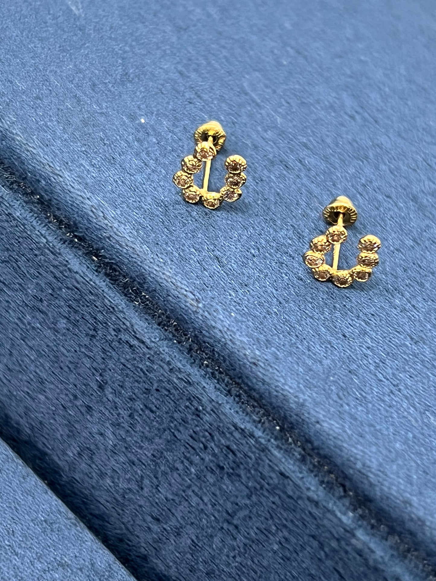 Aretes herradura