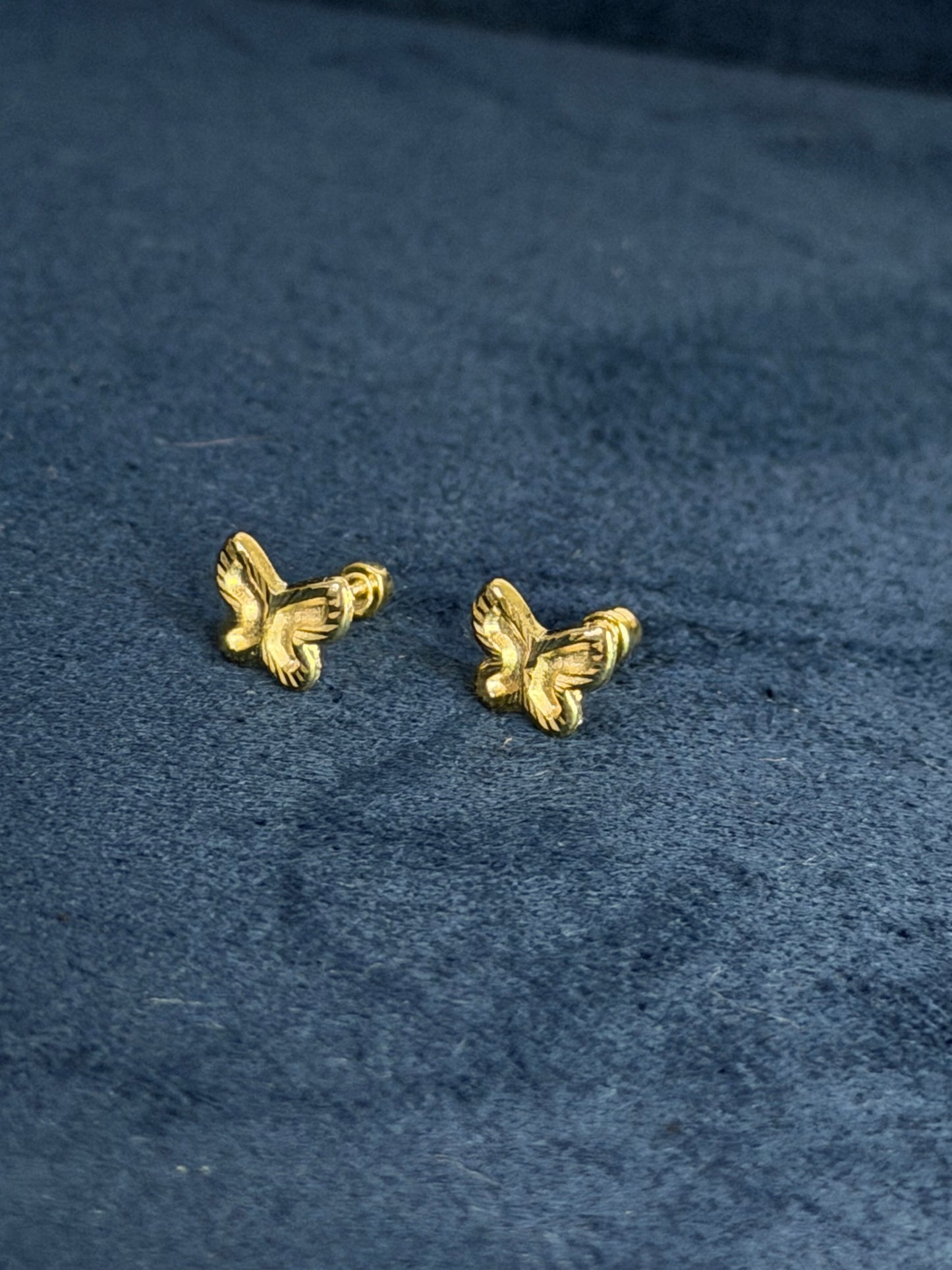 Aretes de mariposa