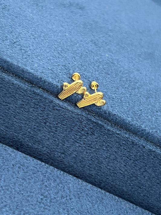 Aretes de cactus