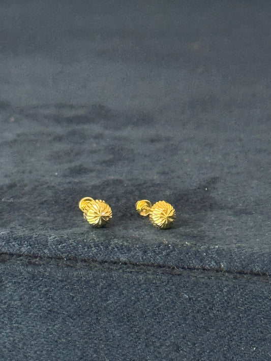 Aretes broquel de hongo